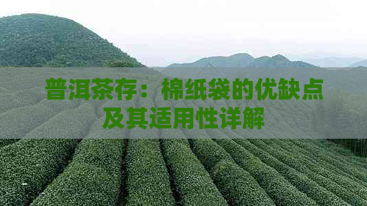 普洱茶存：棉纸袋的优缺点及其适用性详解