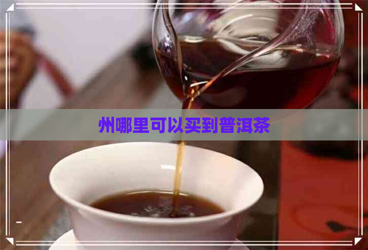 州哪里可以买到普洱茶