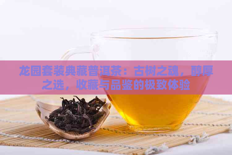 龙园套装典藏普洱茶：古树之魂，醇厚之选，收藏与品鉴的极致体验