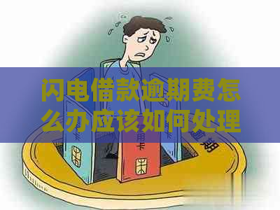 闪电借款逾期费怎么办应该如何处理