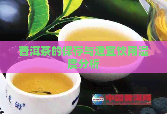 普洱茶的保存与适宜饮用湿度分析