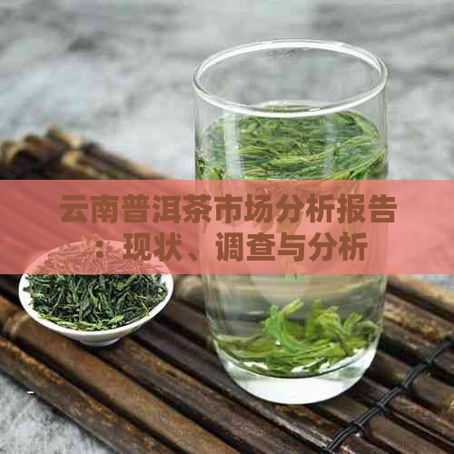 云南普洱茶市场分析报告：现状、调查与分析