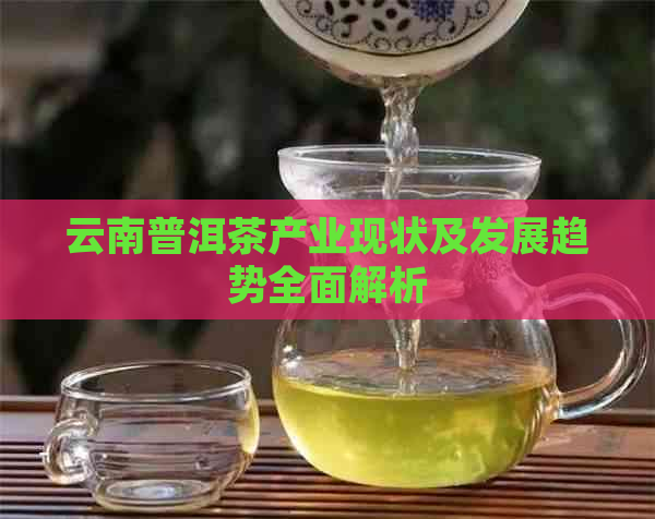 云南普洱茶产业现状及发展趋势全面解析