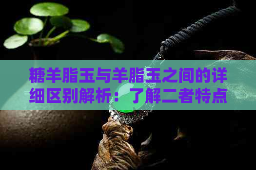 糖羊脂玉与羊脂玉之间的详细区别解析：了解二者特点以便更好地挑选和鉴赏