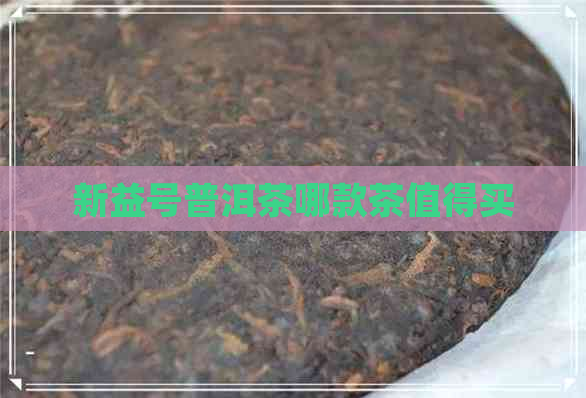 新益号普洱茶哪款茶值得买