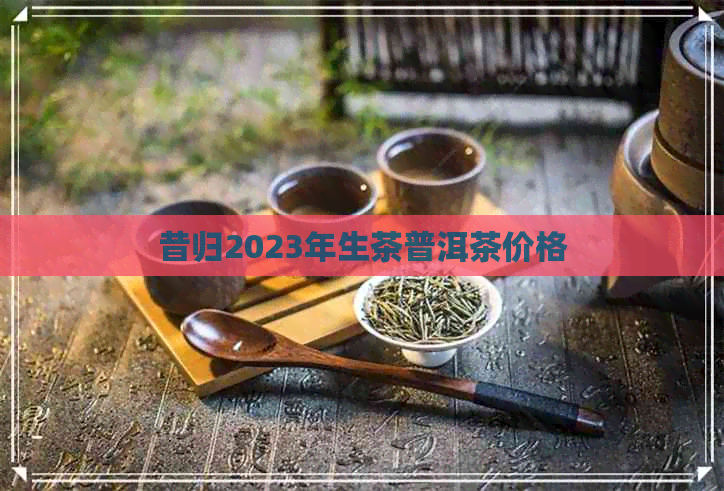 昔归2023年生茶普洱茶价格