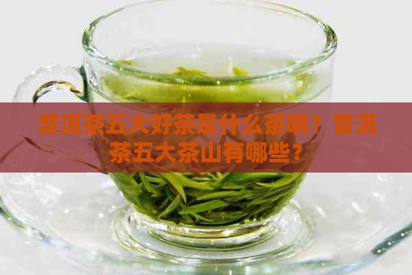 普洱茶五大好茶是什么茶啊？普洱茶五大茶山有哪些？