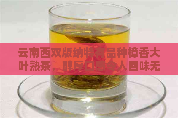 云南西双版纳特有品种樟香大叶熟茶，醇厚口感令人回味无穷
