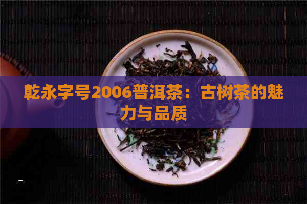 乾永字号2006普洱茶：古树茶的魅力与品质