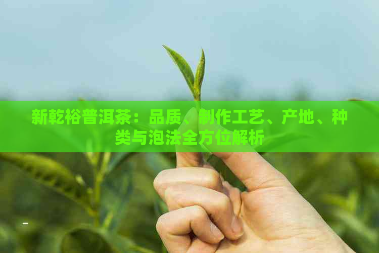 新乾裕普洱茶：品质、制作工艺、产地、种类与泡法全方位解析