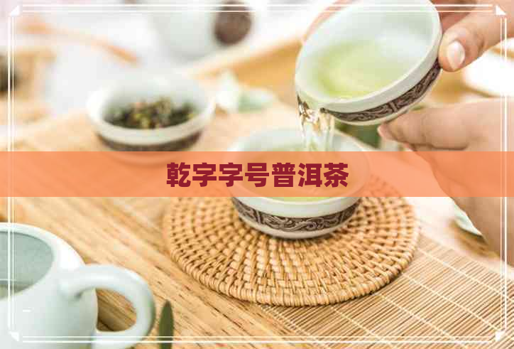 乾字字号普洱茶