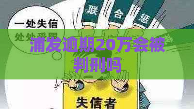 浦发逾期20万会被判刑吗