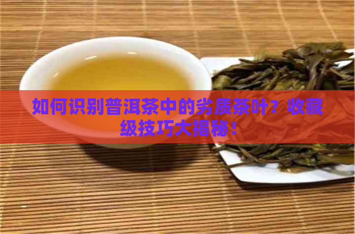 如何识别普洱茶中的劣质茶叶？收藏级技巧大揭秘！