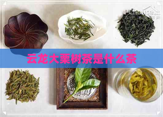 云龙大栗树茶是什么茶