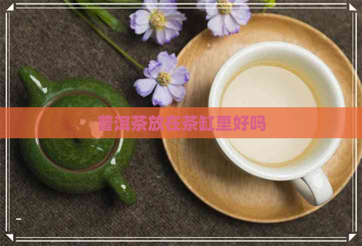 普洱茶放在茶缸里好吗