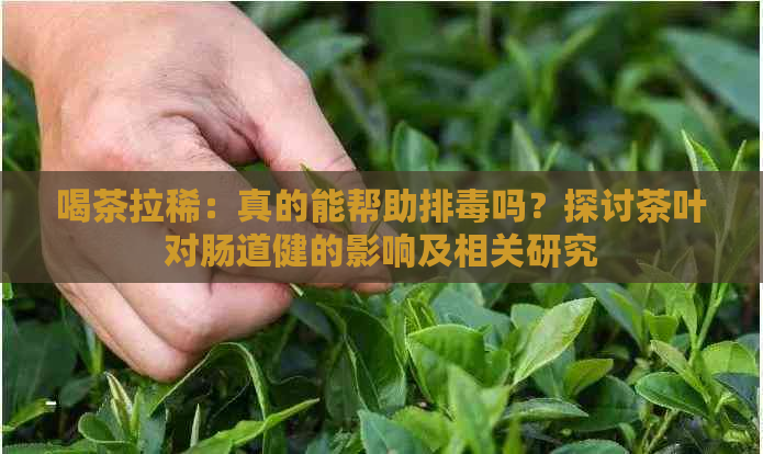 喝茶拉稀：真的能帮助排吗？探讨茶叶对肠道健的影响及相关研究