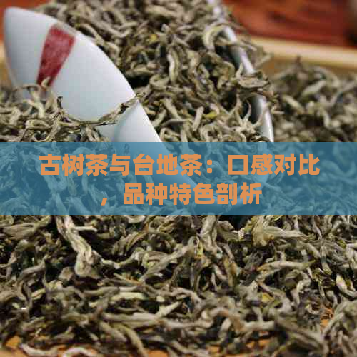 古树茶与台地茶：口感对比，品种特色剖析