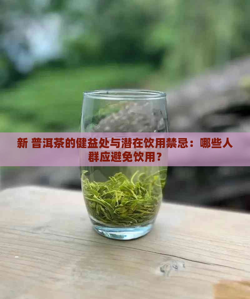 新 普洱茶的健益处与潜在饮用禁忌：哪些人群应避免饮用？