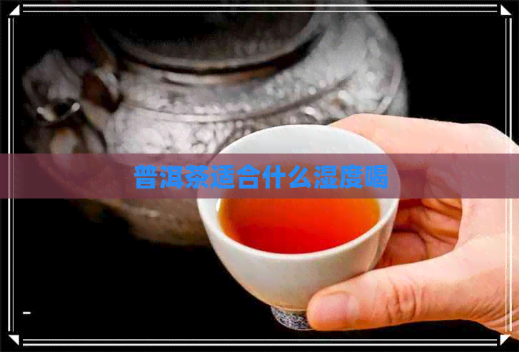 普洱茶适合什么湿度喝