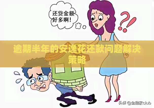 逾期半年的安逸花还款问题解决策略