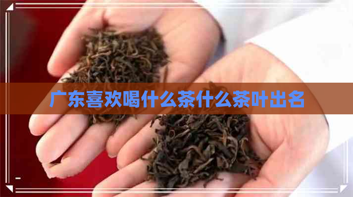 广东喜欢喝什么茶什么茶叶出名