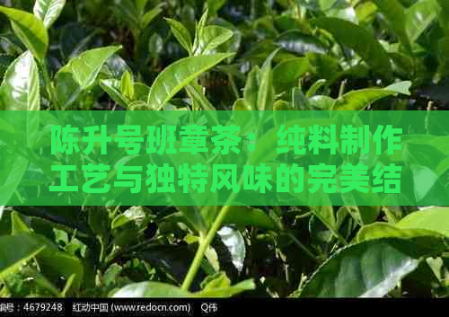 陈升号班章茶：纯料制作工艺与独特风味的完美结合