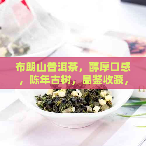 布朗山普洱茶，醇厚口感，陈年古树，品鉴收藏，云南茶叶，文化