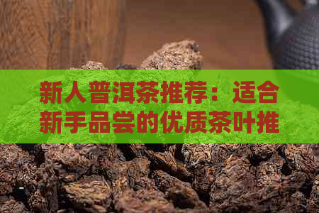 新人普洱茶推荐：适合新手品尝的优质茶叶推荐