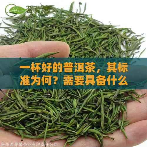 一杯好的普洱茶，其标准为何？需要具备什么条件？