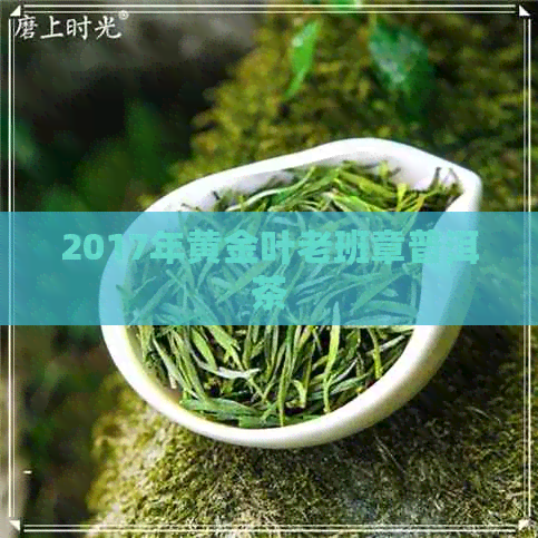 2017年黄金叶老班章普洱茶