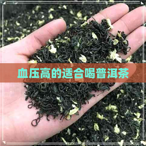 血压高的适合喝普洱茶