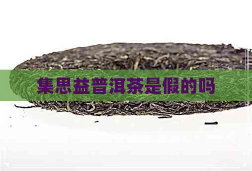 集思益普洱茶是假的吗