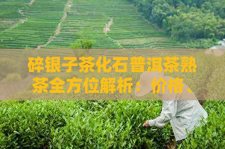 碎银子茶化石普洱茶熟茶全方位解析：价格、品质、功效及冲泡方法一应俱全