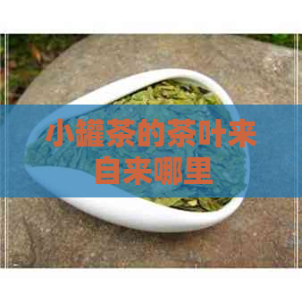 小罐茶的茶叶来自来哪里