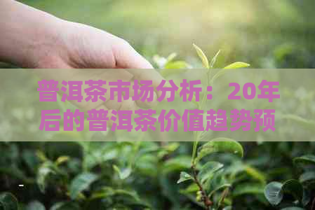 普洱茶市场分析：20年后的普洱茶价值趋势预测与投资建议