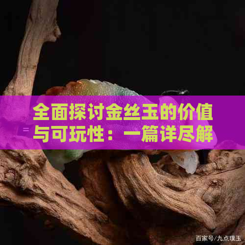 全面探讨金丝玉的价值与可玩性：一篇详尽解析