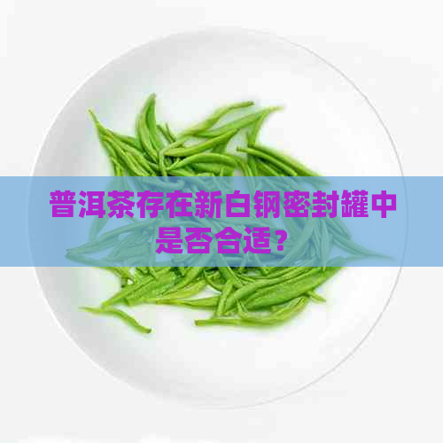 普洱茶存在新白钢密封罐中是否合适？