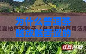 为什么普洱茶越放越苦涩的原因及价值变化