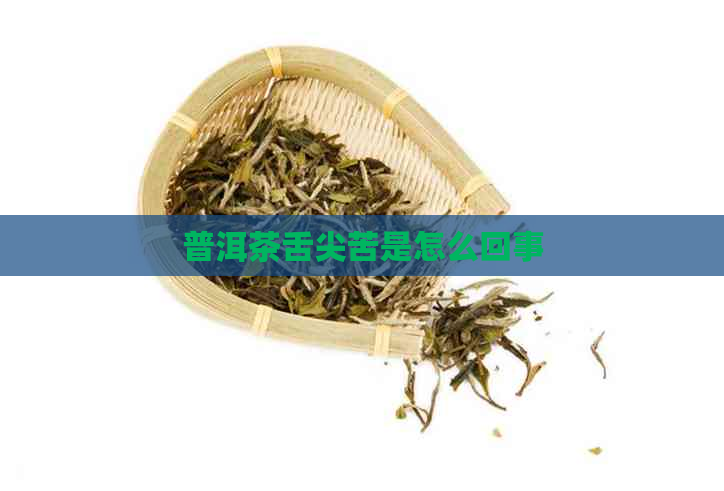 普洱茶舌尖苦是怎么回事