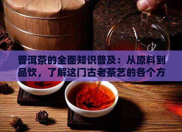 普洱茶的全面知识普及：从原料到品饮，了解这门古老茶艺的各个方面