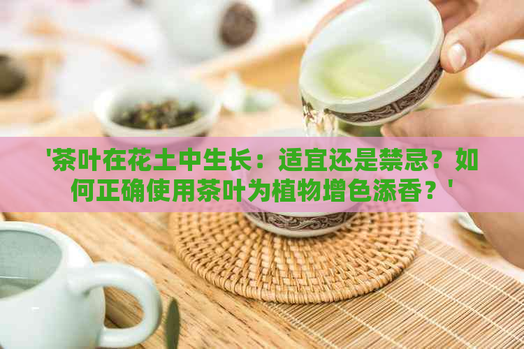 '茶叶在花土中生长：适宜还是禁忌？如何正确使用茶叶为植物增色添香？'