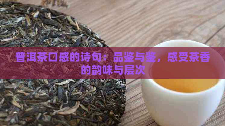 普洱茶口感的诗句：品鉴与鉴，感受茶香的韵味与层次