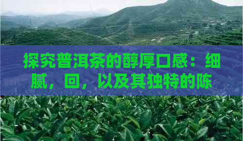 探究普洱茶的醇厚口感：细腻，回，以及其独特的陈年魅力