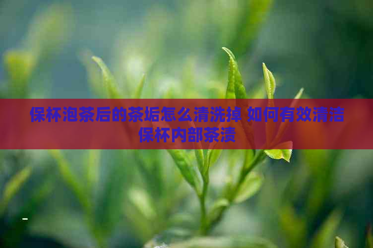 保杯泡茶后的茶垢怎么清洗掉 如何有效清洁保杯内部茶渍