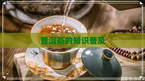 普洱茶的知识普及