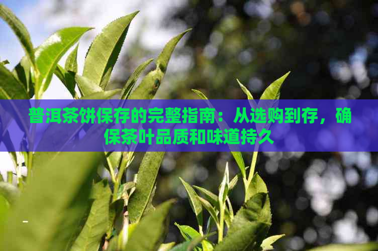 普洱茶饼保存的完整指南：从选购到存，确保茶叶品质和味道持久