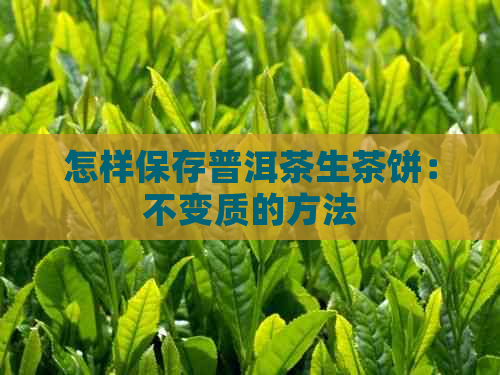 怎样保存普洱茶生茶饼：不变质的方法