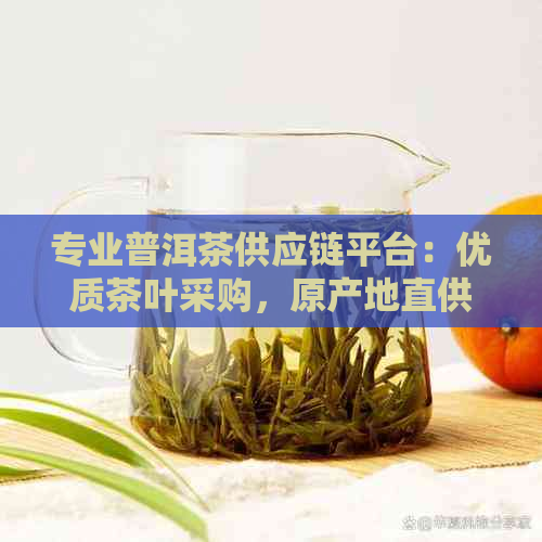 专业普洱茶供应链平台：优质茶叶采购，原产地直供，品质保证，一键选购