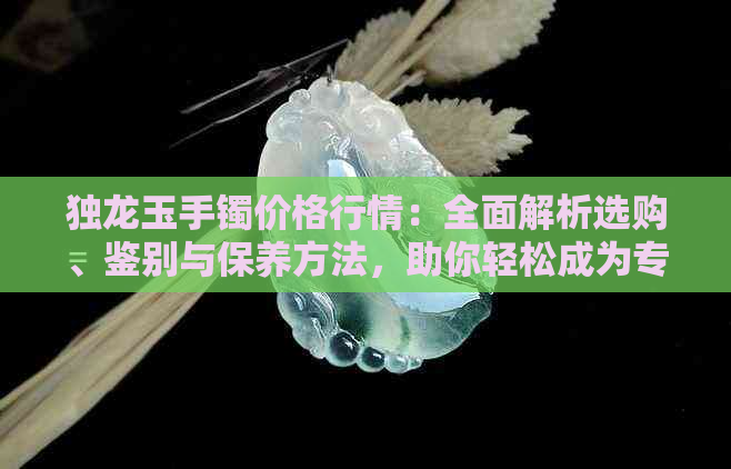 独龙玉手镯价格行情：全面解析选购、鉴别与保养方法，助你轻松成为专家