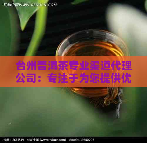 台州普洱茶专业渠道代理公司：专注于为您提供优质的普洱茶产品和服务